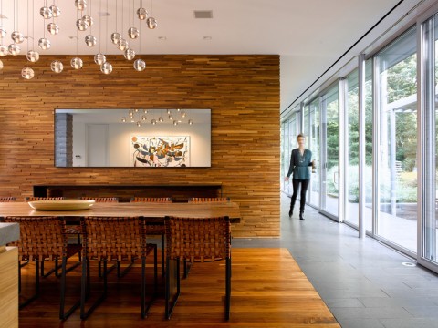 the-sleek-smart-and-scene-setting-features-of-savant